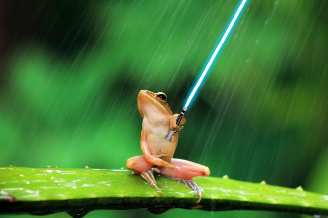 funny-frog lightsaber